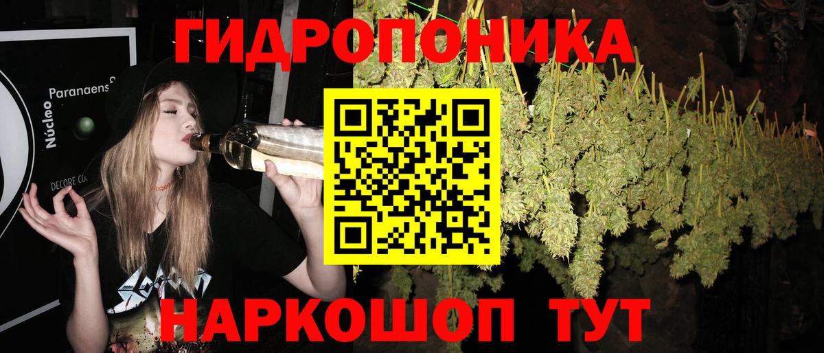 Каннабис сатива  МАРИХУАНА OG Kush  Канабис VHQ  Буйнакск  Вход с VPN 